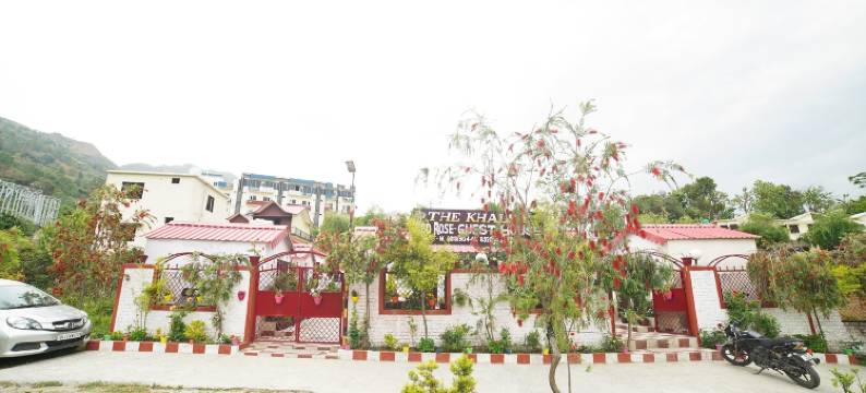 Spot on 37335 Khalsa Red Rose图片