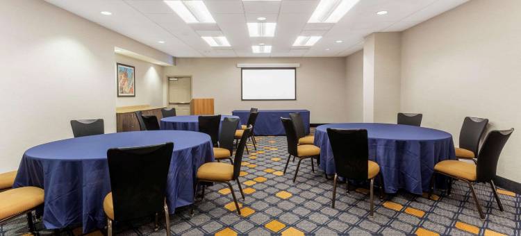 芝加哥市区拉昆塔温德姆套房酒店(La Quinta by Wyndham Chicago Downtown)图片