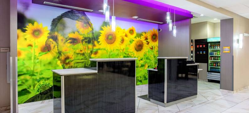 斯普林菲尔德拉昆塔温德姆套房酒店(La Quinta Inn & Suites by Wyndham Springfield IL)图片