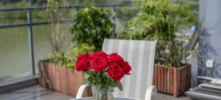 肇庆禧悦小筑民宿图片