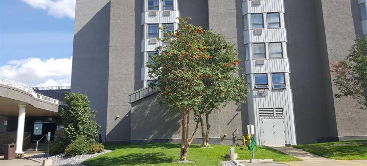 Best Western Plus Westwood Inn图片