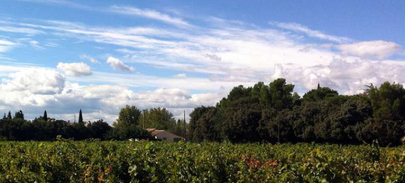 Cozy Holiday Home in Sorgues with Garden图片