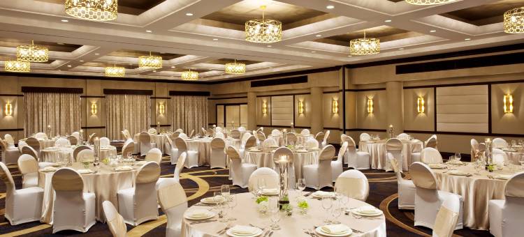 东拉瓜迪亚喜来登酒店(Sheraton LaGuardia East Hotel)图片