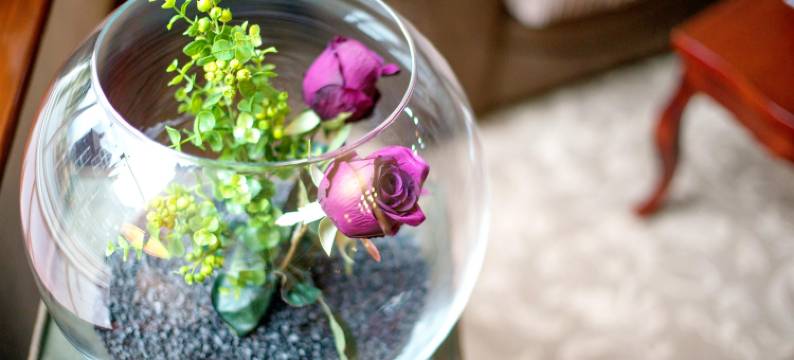 乌斯沃特湖酒店-酒店收藏集团(The Ullswater Inn- the Inn Collection Group)图片