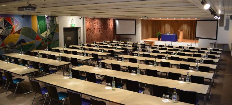 伯恩贝斯特韦斯特优质酒店(Best Western Plus Hotel Bern)图片