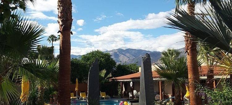 棕榈泉潜水酒店(Dive Palm Springs)图片