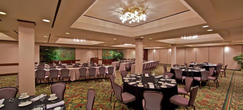 卡塔马兰度假水疗酒店(Catamaran Resort Hotel and Spa)图片