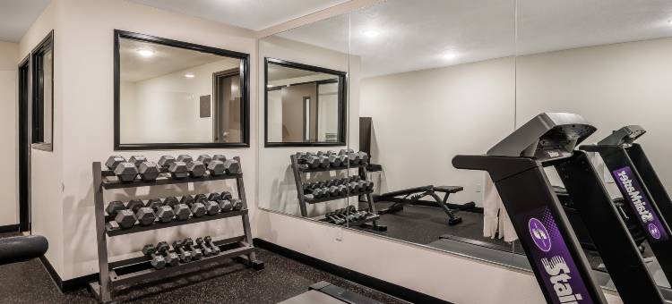 温馨酒店及套房温哥华市中心(Comfort Inn & Suites Vancouver Downtown City Center)图片