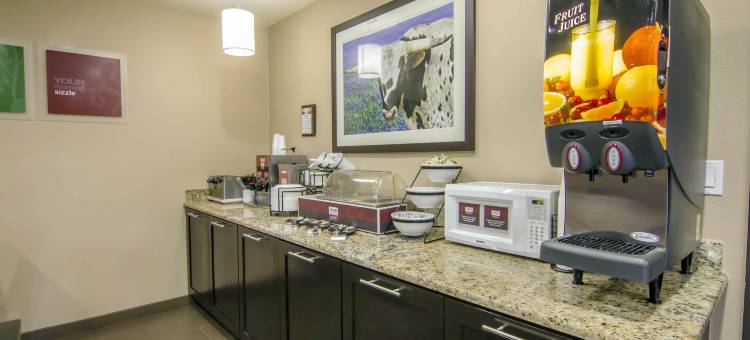 舒适酒店及套房-达拉斯市场中心(Comfort Inn & Suites Love Field-Dallas Market Center)图片