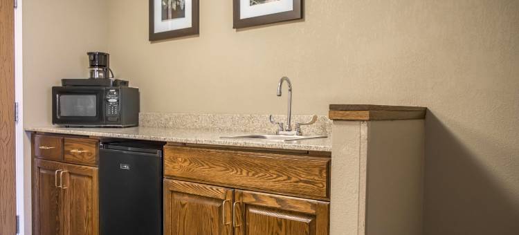 舒适酒店(Quality Inn & Suites)图片