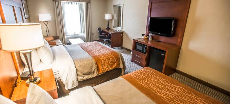 赫尔希公园附近的汉默尔斯敦舒适酒店(Comfort Inn Hummelstown Near the Park - Hershey)图片
