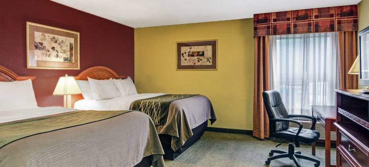 机场舒适套房酒店(Comfort Inn & Suites Airport)图片