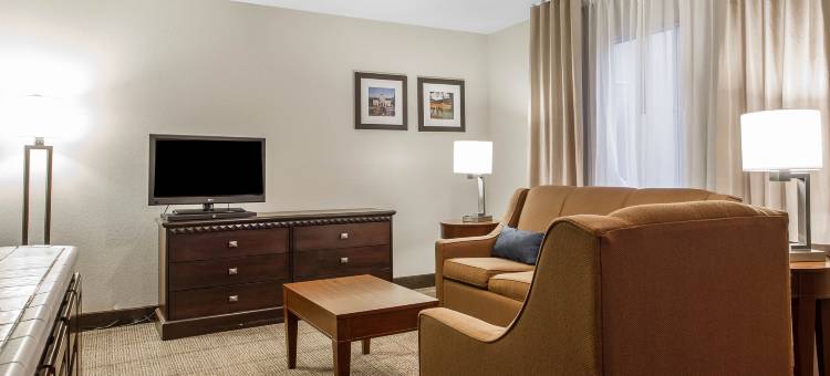 费尔菲尔德纳帕谷区舒适酒店(Comfort Inn Fairfield Napa Valley Area)图片