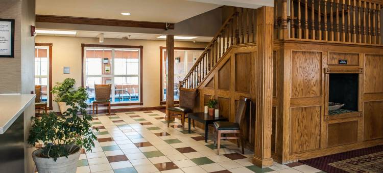 舒适酒店(Comfort Inn)图片