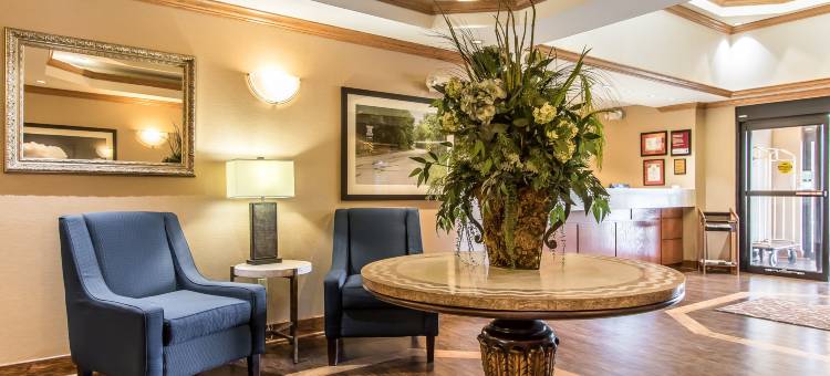 罗拉舒适套房酒店(Comfort Suites)图片