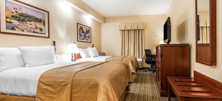 阿尔科雅诺克斯维尔凯艺酒店(Quality Inn Alcoa Knoxville)图片