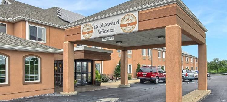 新荷兰阿米什乡村舒适酒店(Comfort Inn Amish Country)图片