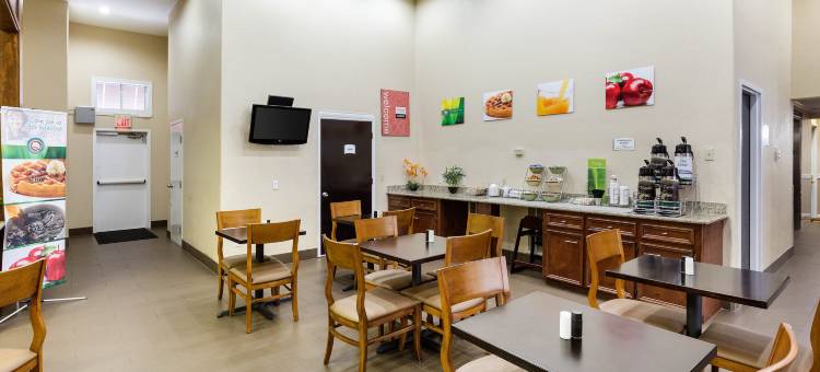 休斯顿西北赛菲尔凯艺套房酒店(Quality Suites Houston NW Cy-Fair)图片