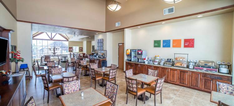 市中心舒适酒店(Comfort Inn Downtown)图片