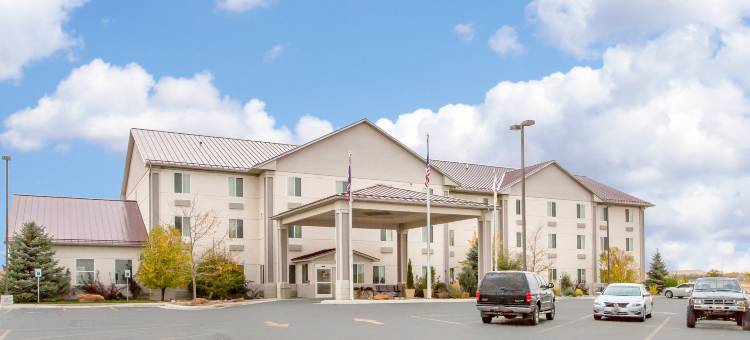舒适套房酒店(Comfort Inn and Suites)图片