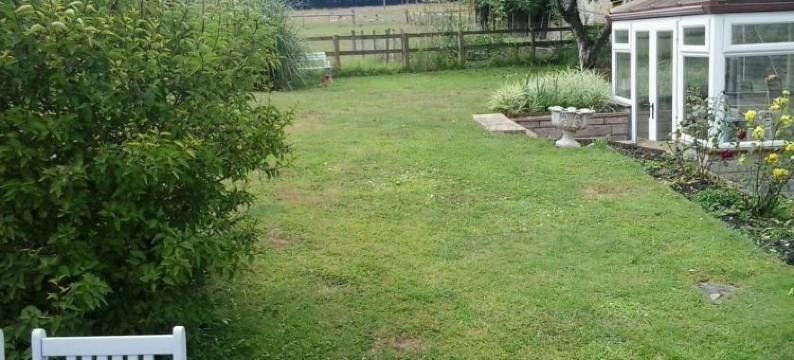 红豆杉树美景公寓(Yew Tree View)图片