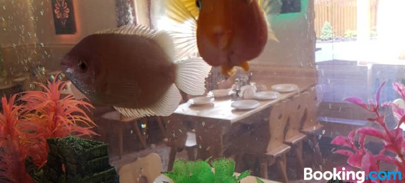 扎科皮安卡酒店(Zakopianka)图片