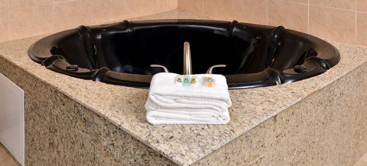 马特森凯艺套房酒店 - 近 I-57(Quality Inn & Suites Matteson Near I-57)图片