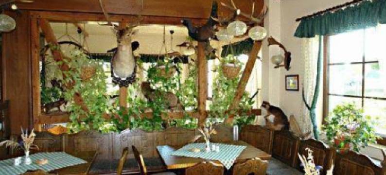 克莱恩福斯特雷旅馆(Ferienwohnung im Nationalpark Jasmund)图片