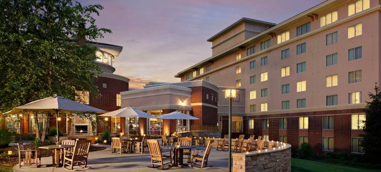 麦德威尔会议度假村及会议中心(MeadowView Conference Resort & Convention Center)图片