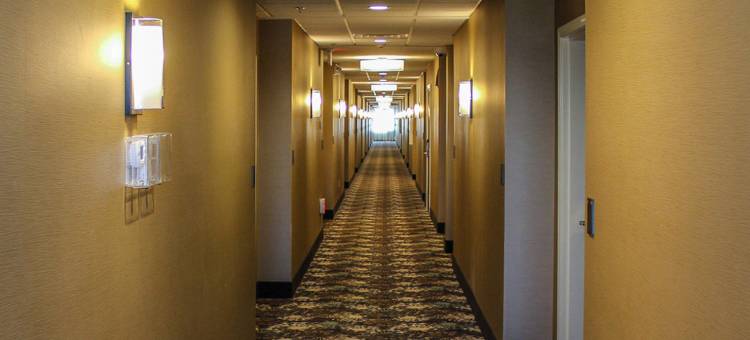 舒适套房酒店-大学(Comfort Suites University Brookings)图片