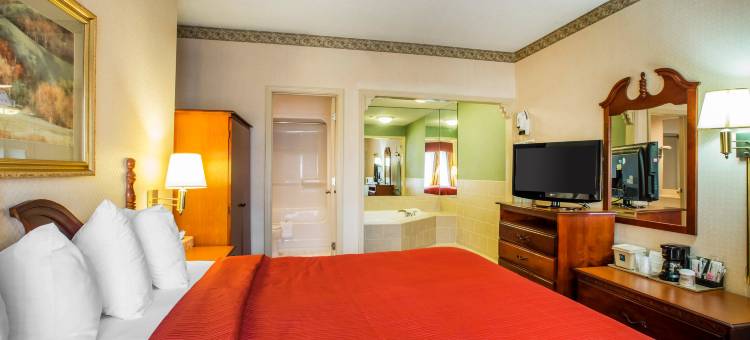 凯艺酒店-近六旗(Quality Inn Near Six Flags Douglasville)图片