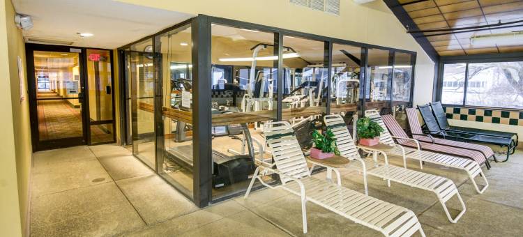 舒适酒店客栈松树林I-81赫尔希地区(Comfort Inn Pine Grove I-81 Hershey Area)图片