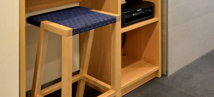 东京西葛西伦勃朗风格大酒店(Rembrandt Style Tokyo Nishikasai Grande)图片