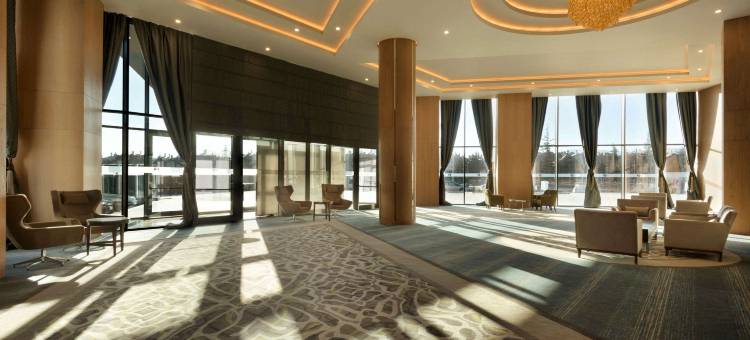 科尼亚温德姆华美达广场酒店(Ramada Plaza by Wyndham Konya)图片