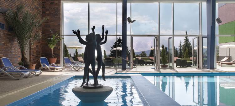 阿霍尔恩阿姆费奇特尔伯格酒店(AHORN Hotel Am Fichtelberg)图片