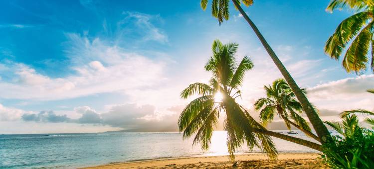 斐济区夸米亚温泉度假村(Qamea Resort and Spa Fiji)(Qamea Resort & Spa)图片