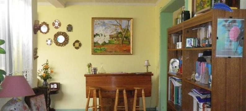 雷诺阿旅馆(Hostal Renoir)图片