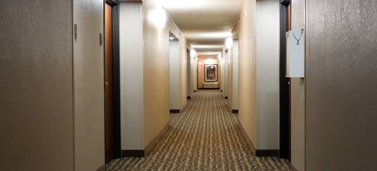 夏洛特机场上城舒适酒店(Comfort Inn Charlotte Airport Uptown)图片