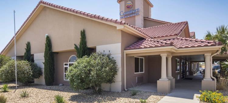 舒适套房酒店(Comfort Inn & Suites)图片