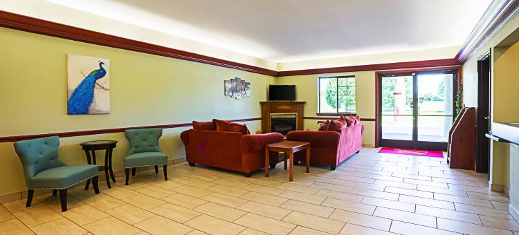 伊康套房旅馆(Econo Lodge Inn & Suites)图片