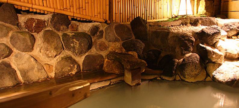 强罗天翠酒店(Gora Tensui)图片