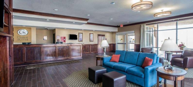 舒适套房酒店-哥伦比亚大学城(Comfort Suites Columbia - University Area)图片