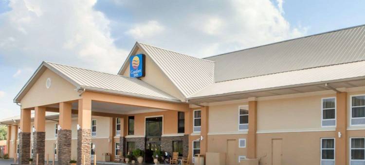 皇家之蓝舒适酒店(Comfort Inn at Royal Blue)图片