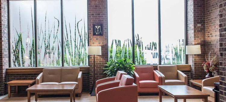 加蒂诺品质套房会议酒店(Quality Inn & Suites)图片