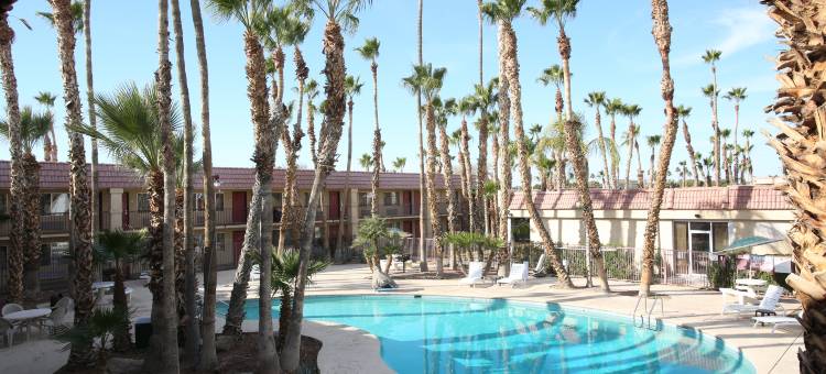 尤马温德姆华美达酒店(Ramada by Wyndham Yuma)图片