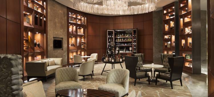 新德里空港JW万豪酒店(JW Marriott Hotel New Delhi Aerocity)图片