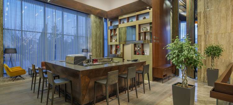 伊斯坦布尔阿塔图尔克机场希尔顿花园酒店(Hilton Garden Inn Istanbul Atatürk Airport)图片