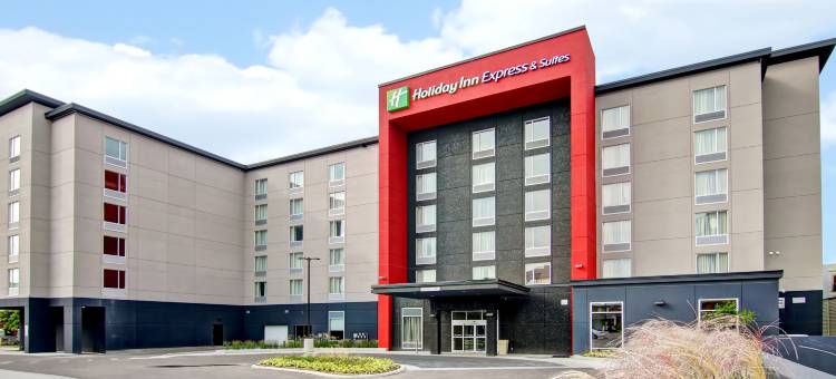 奥沙瓦市中心智选假日套房酒店(Holiday Inn Express & Suites Oshawa Downtown - Toronto Area)图片