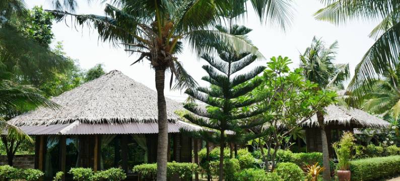 瑞亚维德别墅度假村(Villa Ravadee Resort)图片