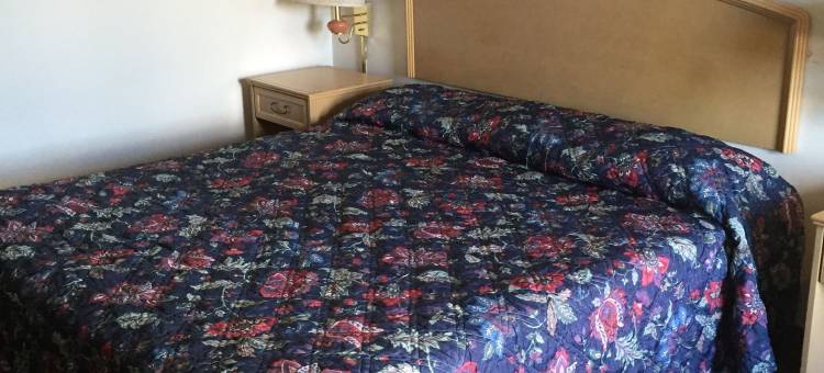 金德汽车旅馆(The Kinder Inn)图片